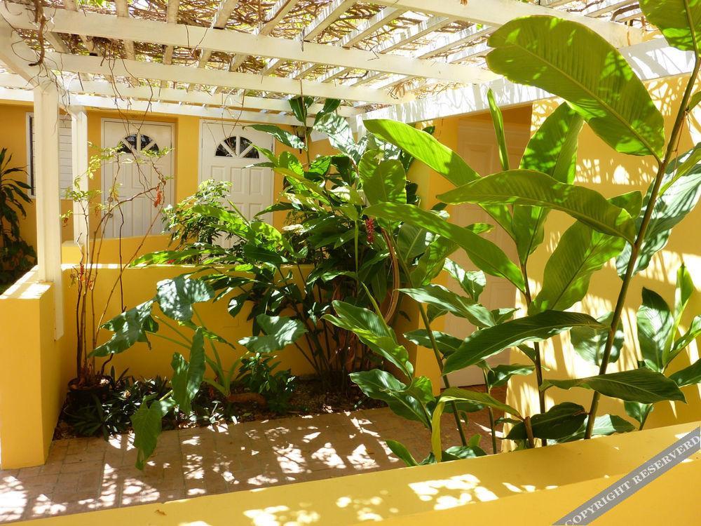 The Atrium At Ironshore مونتيغو باي المظهر الخارجي الصورة